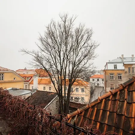 Airhome - Sulevimaegi *