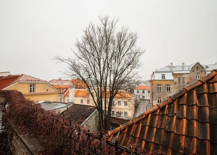 Airhome - Sulevimaegi *